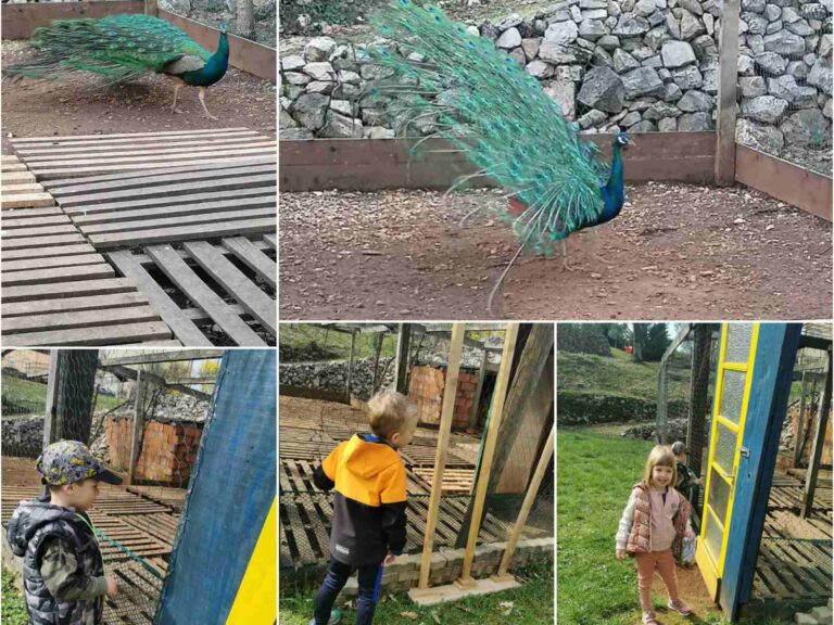 dječji vrtić viškovo